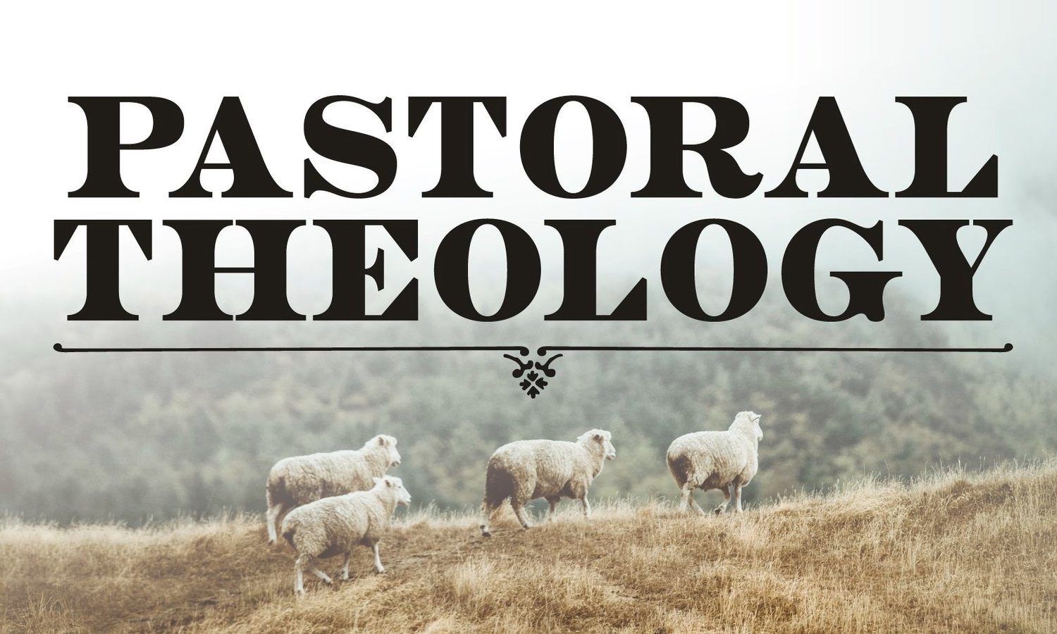 Course Image Pastoral Theology 